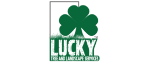Lucky Tree Landscaping